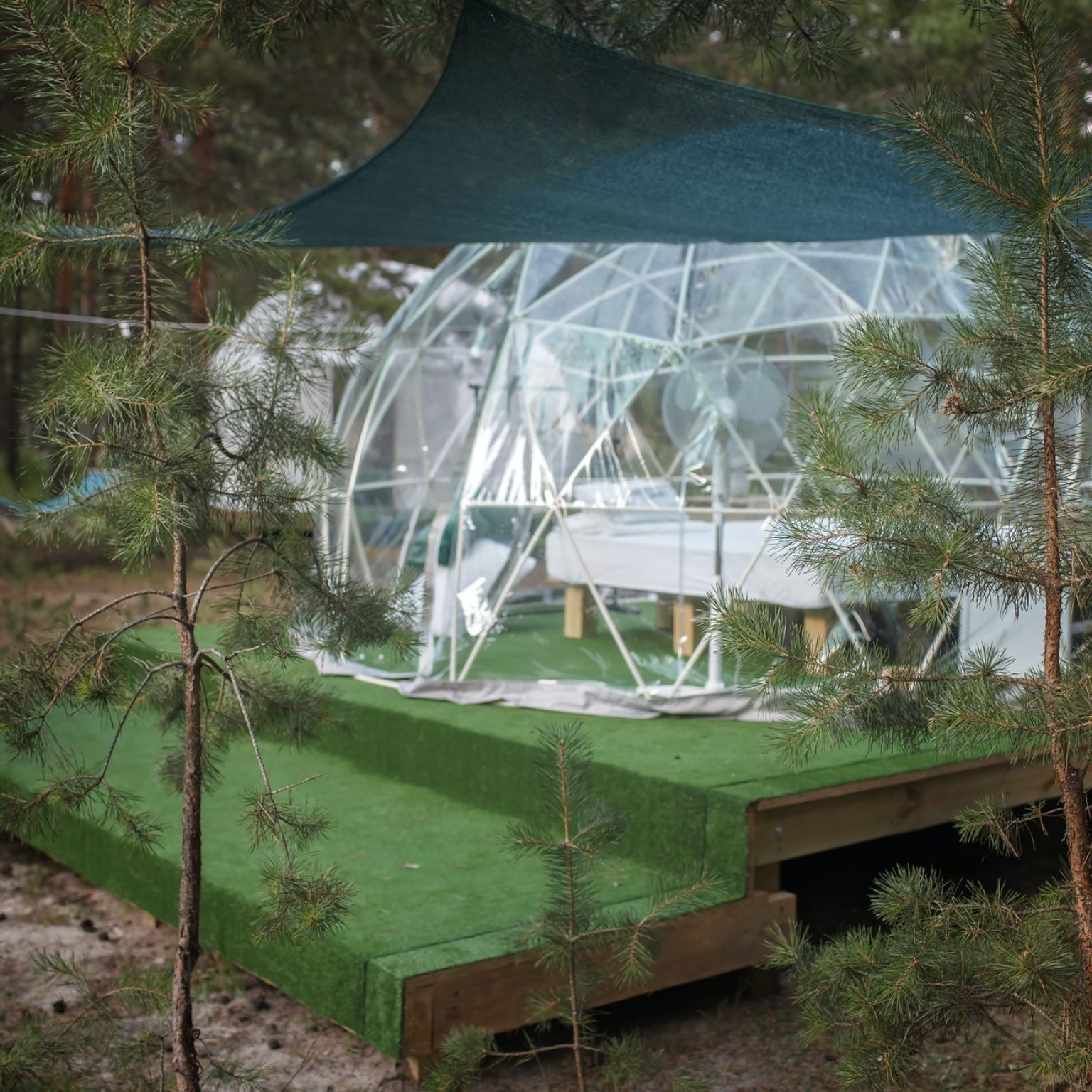 Transparent bell tent in forest, glamping, luxury travel, glamourous camping, lifestyle outdoor